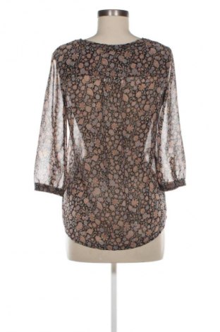 Γυναικεία μπλούζα Scotch & Soda, Μέγεθος XS, Χρώμα Πολύχρωμο, Τιμή 52,99 €