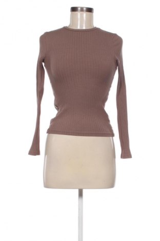 Damen Shirt Sinsay, Größe XS, Farbe Braun, Preis € 9,72