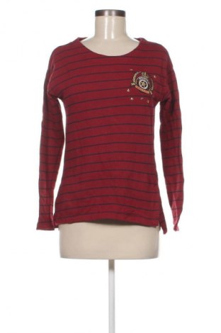 Damen Shirt Springfield, Größe M, Farbe Mehrfarbig, Preis € 9,99