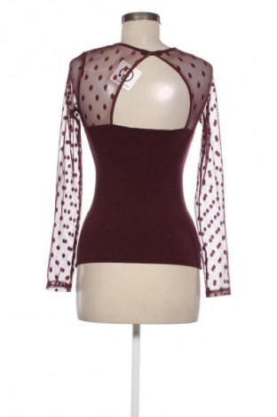 Damen Shirt Terranova, Größe S, Farbe Rot, Preis € 9,72