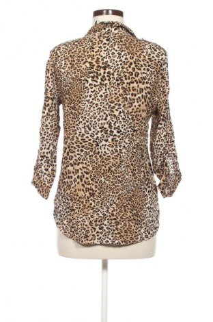 Damen Shirt Zara, Größe L, Farbe Mehrfarbig, Preis € 7,99