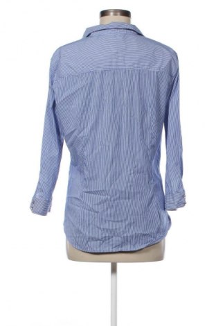 Damen Shirt Zara, Größe XXL, Farbe Mehrfarbig, Preis € 13,80