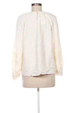 Damen Shirt Zara, Größe M, Farbe Weiß, Preis € 7,99