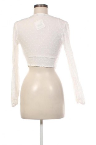 Damenbluse Bershka, Größe S, Farbe Mehrfarbig, Preis € 7,99