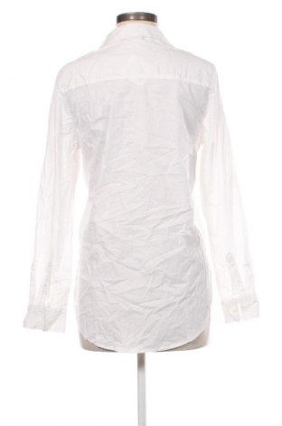 Damenbluse Blue Motion, Größe S, Farbe Weiß, Preis € 7,99