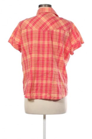 Damenbluse Bpc Bonprix Collection, Größe L, Farbe Mehrfarbig, Preis € 11,99