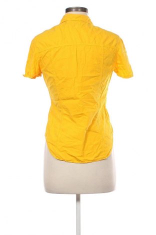 Damenbluse Calvin Klein Jeans, Größe M, Farbe Gelb, Preis € 14,99