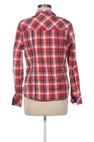 Damenbluse Collection L, Größe M, Farbe Mehrfarbig, Preis € 17,99
