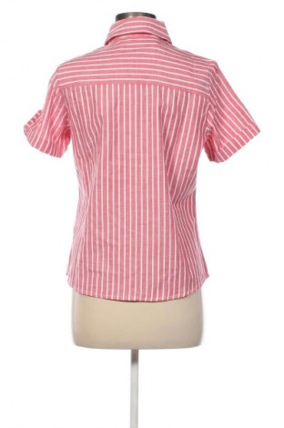Damenbluse Collection L, Größe S, Farbe Mehrfarbig, Preis € 13,00