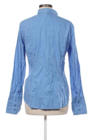 Damenbluse Colours Of The World, Größe L, Farbe Blau, Preis € 17,99