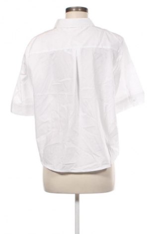 Damenbluse Eterna, Größe XXL, Farbe Weiß, Preis € 25,99