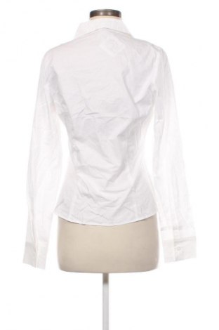 Damenbluse Fb Sister, Größe L, Farbe Weiß, Preis € 17,99
