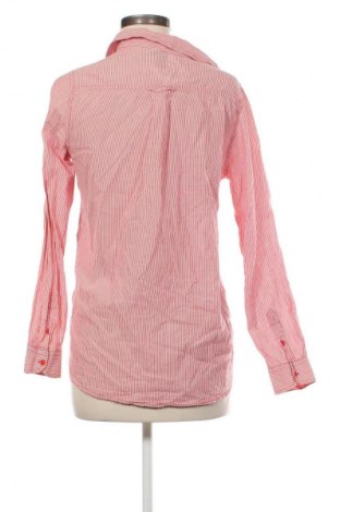 Damenbluse H&M, Größe M, Farbe Mehrfarbig, Preis € 12,68