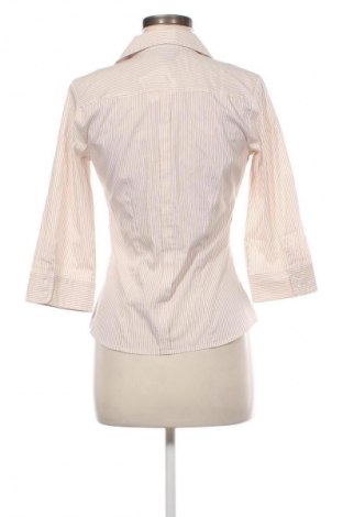 Damenbluse H&M, Größe M, Farbe Mehrfarbig, Preis 12,79 €