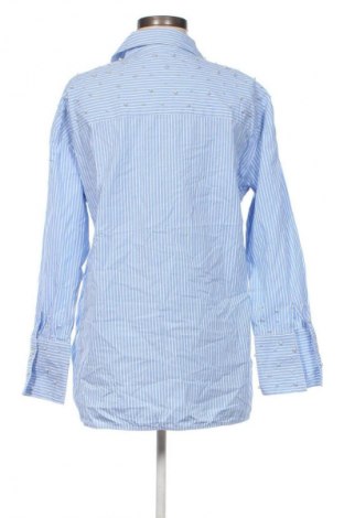 Damenbluse Hallhuber, Größe L, Farbe Mehrfarbig, Preis € 15,99
