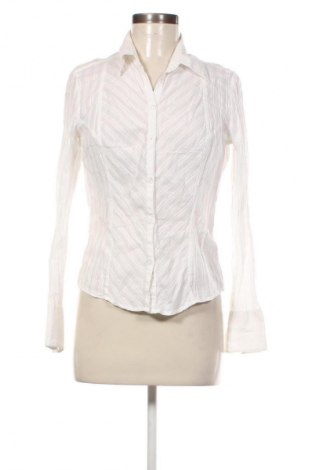 Damenbluse Harley-Davidson, Größe S, Farbe Mehrfarbig, Preis € 20,99