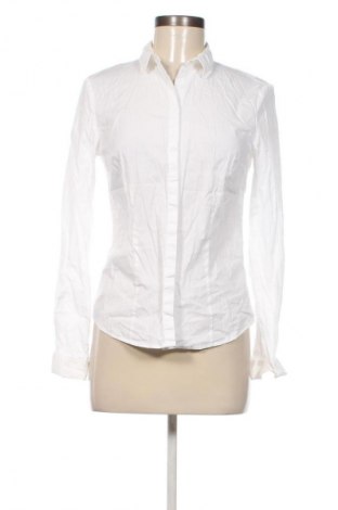Damenbluse Hessnatur, Größe S, Farbe Weiß, Preis € 15,99