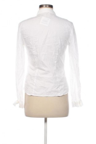 Damenbluse Hessnatur, Größe S, Farbe Weiß, Preis € 15,99