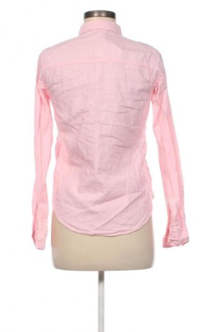 Damenbluse Hollister, Größe S, Farbe Rosa, Preis € 11,99