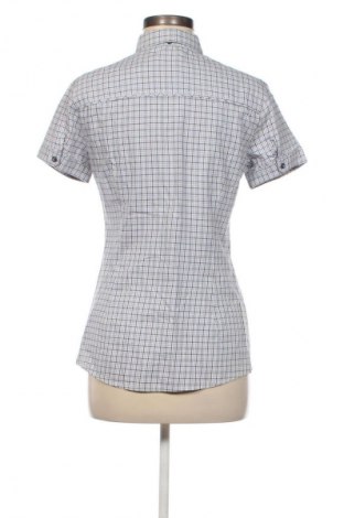 Damenbluse Mango, Größe L, Farbe Mehrfarbig, Preis 13,80 €