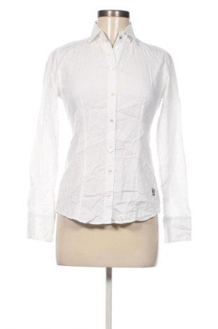 Damenbluse Massimo Dutti, Größe S, Farbe Weiß, Preis € 38,99