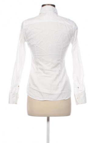 Damenbluse Massimo Dutti, Größe S, Farbe Weiß, Preis € 38,99