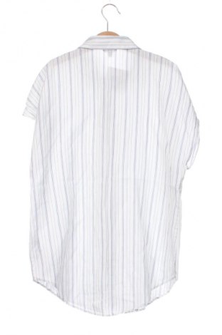Damenbluse Massimo Dutti, Größe XS, Farbe Mehrfarbig, Preis € 24,49