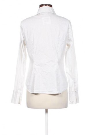Damenbluse Mexx, Größe L, Farbe Mehrfarbig, Preis € 20,99