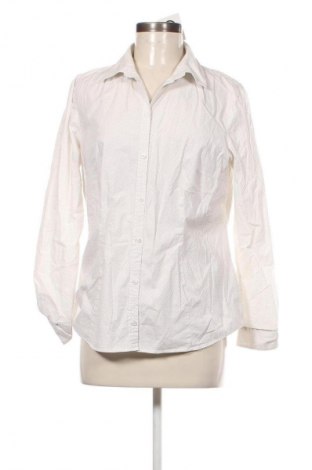 Damenbluse Montego, Größe XL, Farbe Mehrfarbig, Preis € 17,99