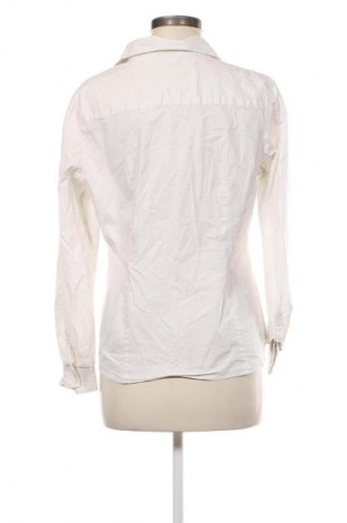 Damenbluse Montego, Größe XL, Farbe Mehrfarbig, Preis € 17,99