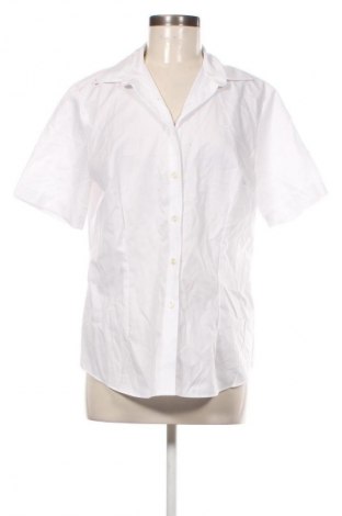 Damenbluse Olymp, Größe XL, Farbe Weiß, Preis € 25,99