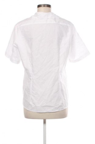 Damenbluse Olymp, Größe XL, Farbe Weiß, Preis € 25,99