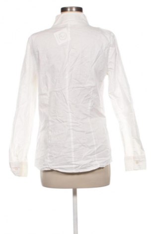 Damenbluse Patrizia Dini, Größe M, Farbe Weiß, Preis € 28,99