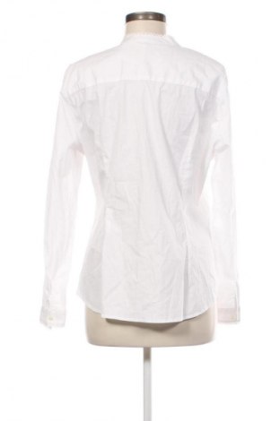 Damenbluse Polo Club, Größe XL, Farbe Weiß, Preis € 75,32