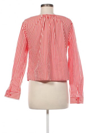 Damenbluse Primark, Größe L, Farbe Mehrfarbig, Preis € 6,99