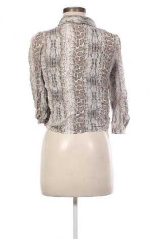 Damenbluse Pull&Bear, Größe M, Farbe Mehrfarbig, Preis € 17,99