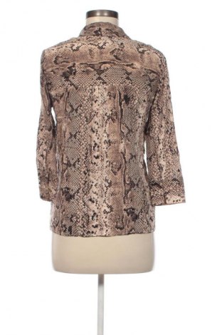 Damenbluse Stradivarius, Größe S, Farbe Mehrfarbig, Preis € 17,99