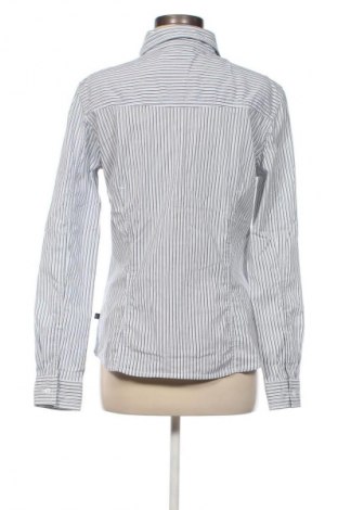 Damenbluse Tom Tailor, Größe L, Farbe Mehrfarbig, Preis € 21,00