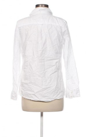Damenbluse Tu, Größe M, Farbe Weiß, Preis € 17,99