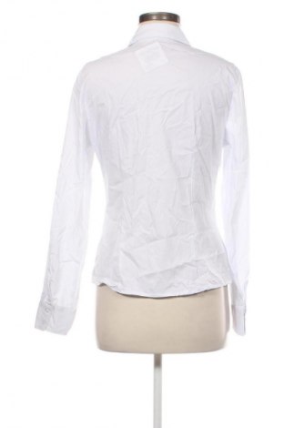 Damenbluse Unbranded, Größe XL, Farbe Weiß, Preis € 7,99