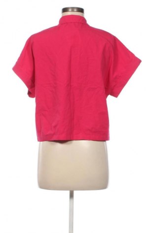 Damenbluse Zara, Größe L, Farbe Rosa, Preis € 14,99