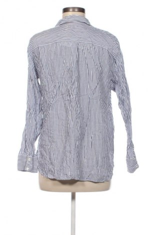 Damenbluse Zara, Größe L, Farbe Mehrfarbig, Preis € 18,99