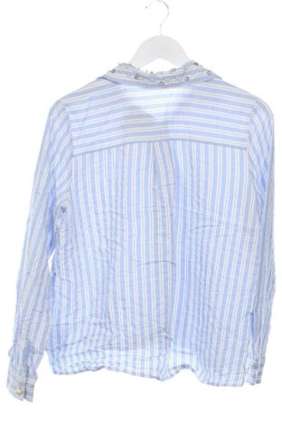 Damenbluse Zara, Größe XS, Farbe Mehrfarbig, Preis € 18,99