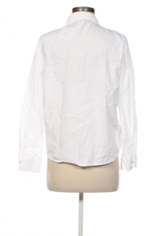 Damenbluse Zara, Größe M, Farbe Weiß, Preis € 13,80