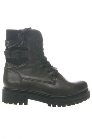 Damen Stiefeletten Tom Tailor, Größe 40, Farbe Grün, Preis € 97,99