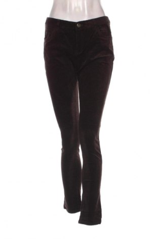 Damen Cordhose Bossini, Größe XL, Farbe Braun, Preis € 20,99