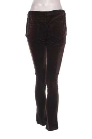Damen Cordhose Bossini, Größe XL, Farbe Braun, Preis € 20,99
