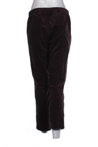 Damen Cordhose Sfera, Größe XL, Farbe Braun, Preis 14,83 €