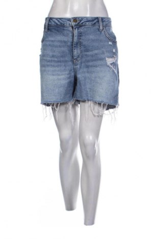 Damen Shorts Ava & Viv, Größe XL, Farbe Blau, Preis € 9,72