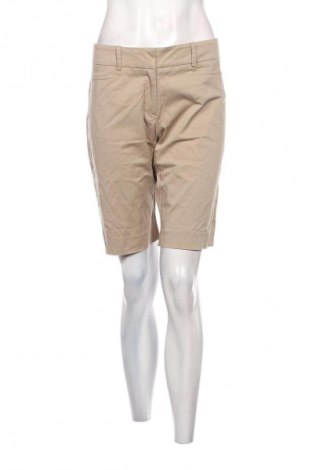 Damen Shorts Hallhuber, Größe M, Farbe Braun, Preis € 24,99